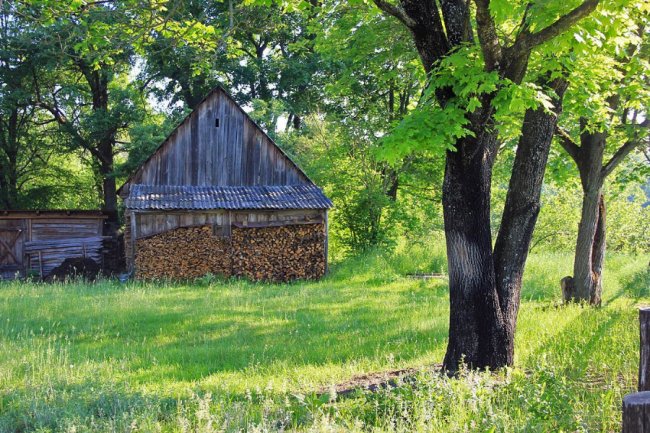 Волинський фотограф показав красу «високої води» річки Стохід. ФОТО