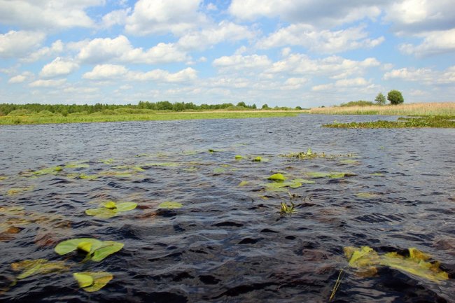 Волинський фотограф показав красу «високої води» річки Стохід. ФОТО