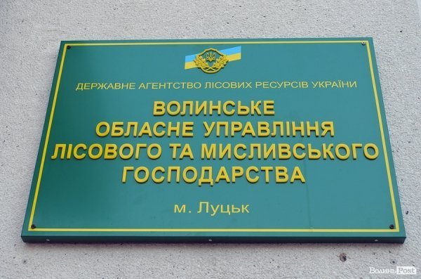У Луцьку пікетували головного лісника Волині. ФОТО