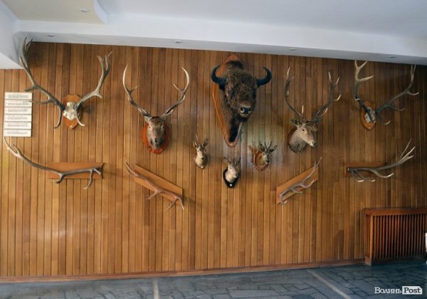 У Луцьку пікетували головного лісника Волині. ФОТО