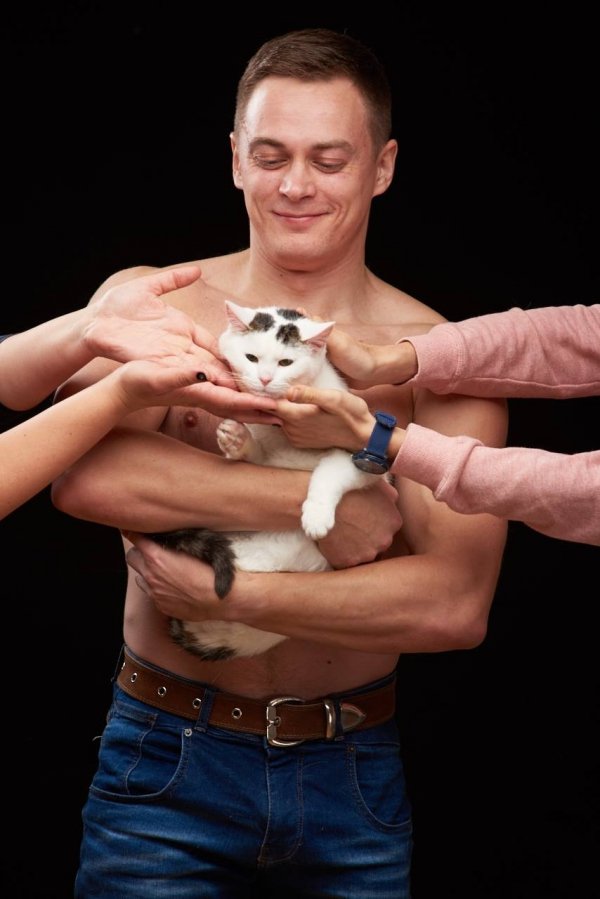 Котик Студєнт. Один із тих, кого вдалось врятувати від смерти з мінської «усипалки» (пункт відлову та подальшої евтаназії незатребуваних тварин в Мінську). Вдалось привезти у Луцьк. Дуже обережний – тільки зараз вчиться довіряти людям