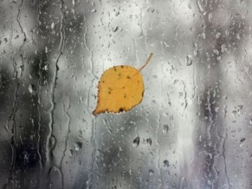 Погода в Луцьку та Волинській області на вихідні, 23 і 24 листопада