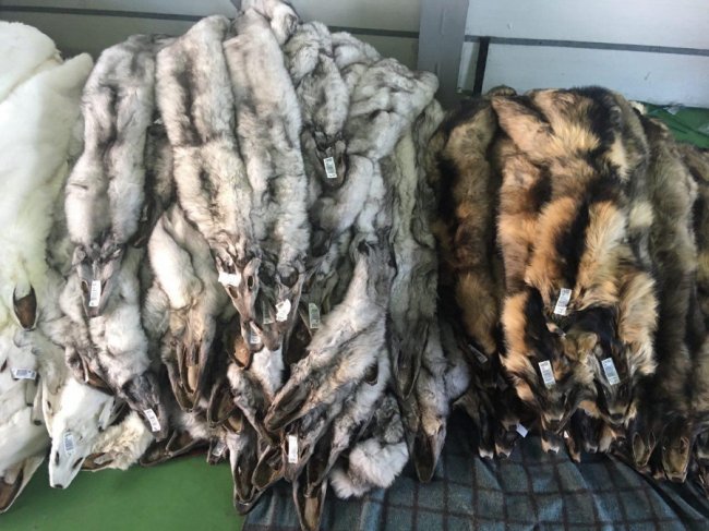 Волинські прикордонники знайшли контрабандні комп'ютери та хутро. ВІДЕО. ФОТО 