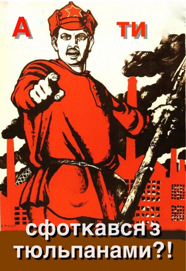 Жарти і меми про «Волинську Голландію»: підбірка із соцмереж 