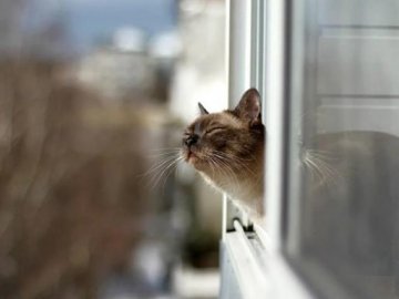 Погода у Луцьку на завтра, 14 січня