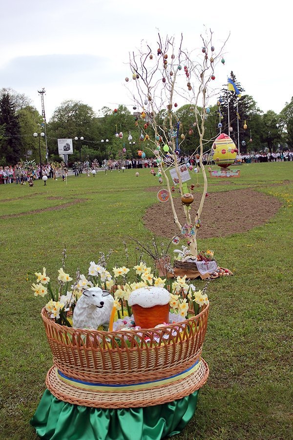 В Ужгороді «виросли» дерева з писанками. ФОТО