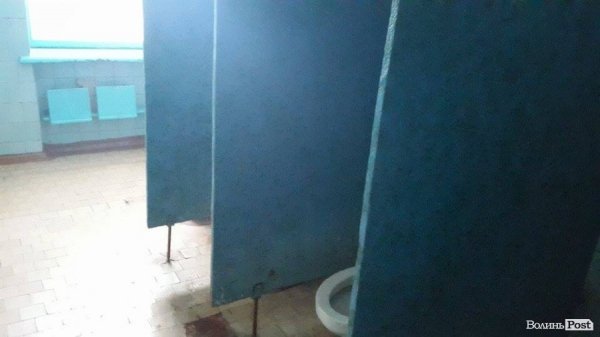 Чи вистачить мільйона на шкільні вбиральні Луцька. ФОТО^