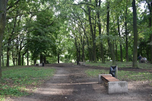 Сучасне освітлення, дитячий майданчик: як в одному з мікрорайонів Луцька планують оновити парк