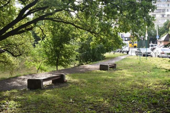 Сучасне освітлення, дитячий майданчик: як в одному з мікрорайонів Луцька планують оновити парк