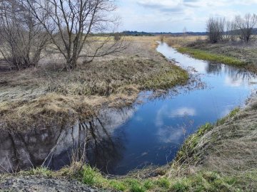 На реконструкцію меліоративних каналів у районі на Волині треба 800 млн грн: чи проводили розчищення 