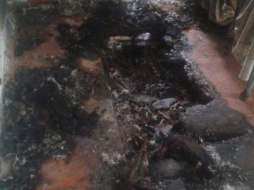 У селі на Волині в хаті згорів дідусь. ФОТО 