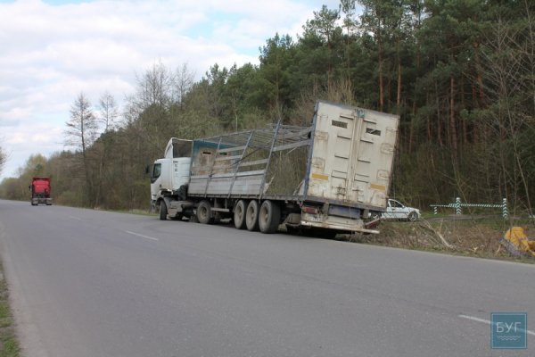 На Волині перекинулась вантажівка з курятиною. ФОТО