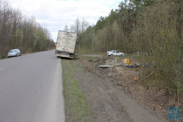На Волині перекинулась вантажівка з курятиною. ФОТО