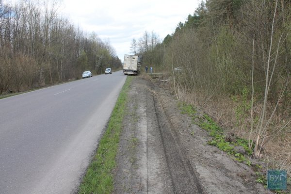 На Волині перекинулась вантажівка з курятиною. ФОТО