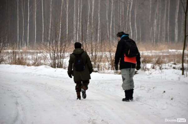 Як у «Цуманській пущі» рахували зубрів 