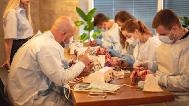 Навчальна платформа для медиків UNIVERSE: як Олена Василюк прагне навчати та створити ком'юніті медиків Волині