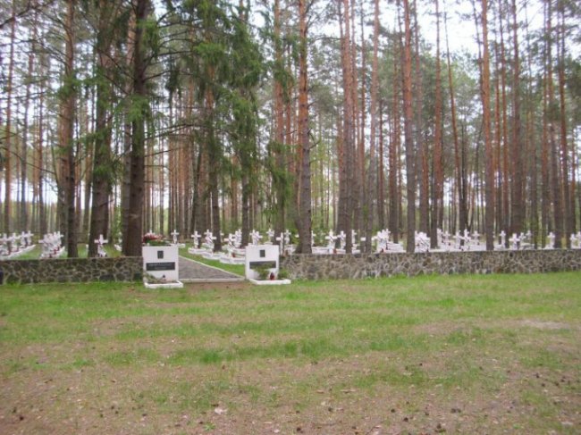 Як оберігають тисячі могил у волинських лісах