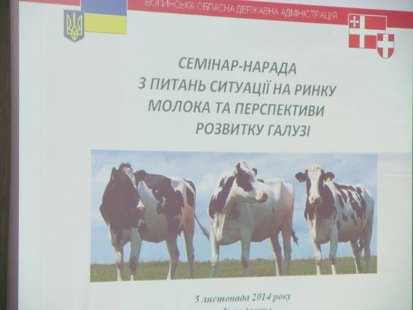Коли європейці будуть вживати волинське молоко 