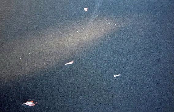 На Любомльщині стався вибух: зачепило житловий будинок. ФОТО