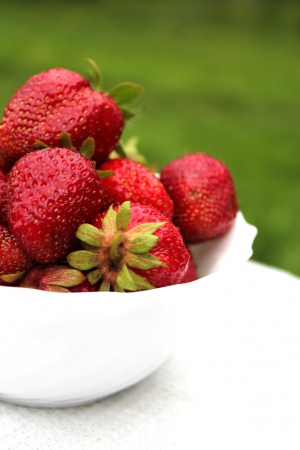 Фотовиставка Тетяни Полуектової