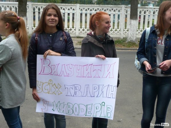 Парочці, яка знущалася у Луцьку над котом, може «світити» 2 роки. ФОТО. ВІДЕО