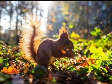 Погода у Луцьку та Волинській області на суботу, 25 вересня