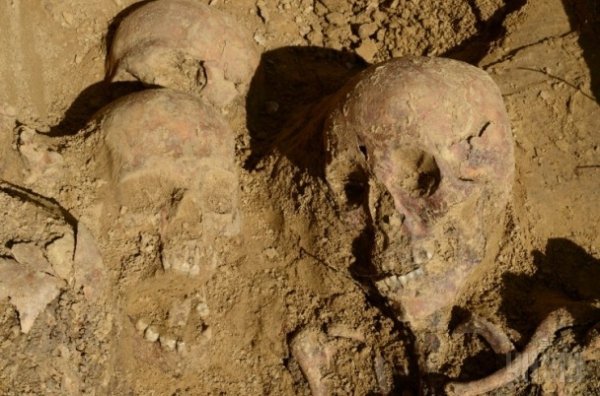 У Львові знайшли масове поховання в'язнів. ФОТО