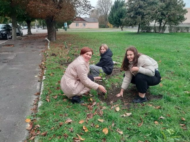У містечку на Волині проігнорували толоку біля пам’ятника Героям