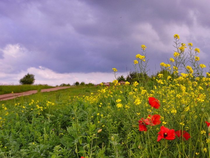 Погода в Луцьку на завтра, 30 червня