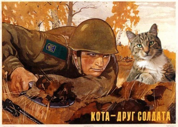 Бабуся і кіт: фотожабоманія триває. ФОТО