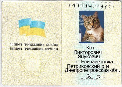 Бабуся і кіт: фотожабоманія триває. ФОТО