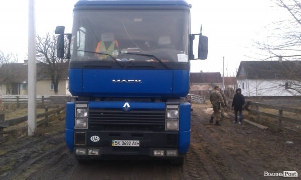 Дуб, сосна, вільха – волиняни і далі крадуть ліс. ФОТО