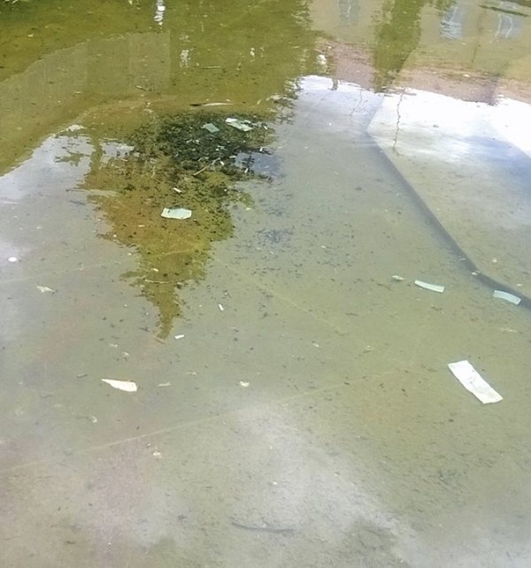 Брудні фонтани у Луцьку: винні комунальники чи самі лучани