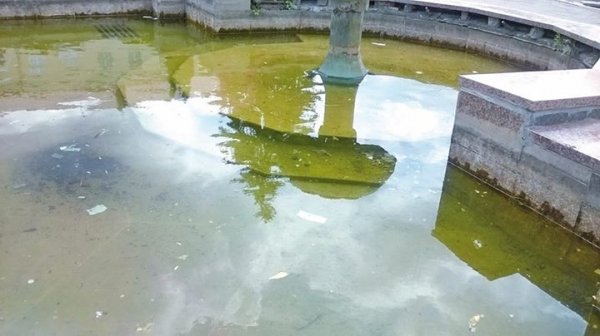 Брудні фонтани у Луцьку: винні комунальники чи самі лучани