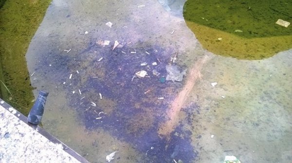 Брудні фонтани у Луцьку: винні комунальники чи самі лучани