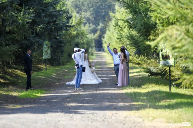 Там, де народжуються ліси: луцькі молодята влаштували фотосесію у селекційному центрі. ФОТО