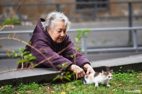 Фотопогляд: вулиця Лесі Українки