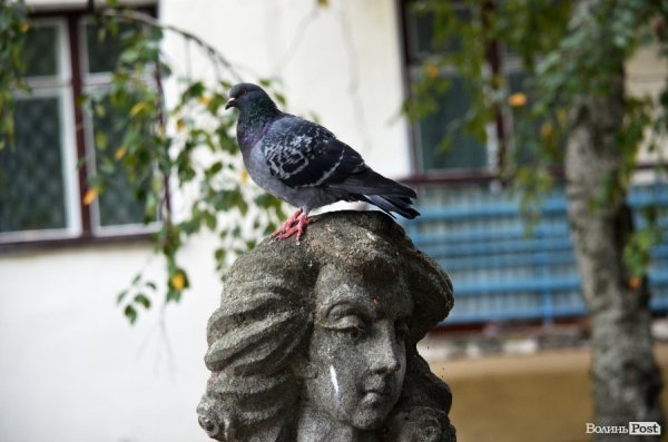 Фотопогляд: вулиця Лесі Українки