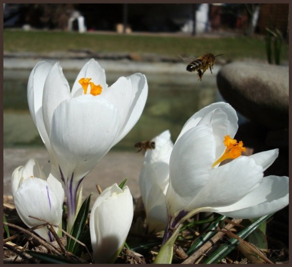 Фотовиставка Валентини Жуги