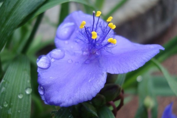 Фотовиставка Валентини Жуги
