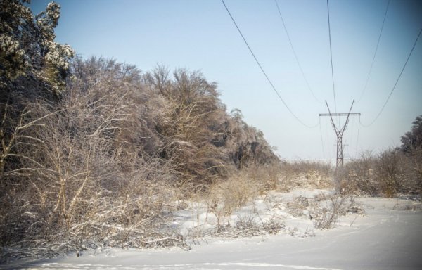 Волинське містечко перетворилося у засніжену казку