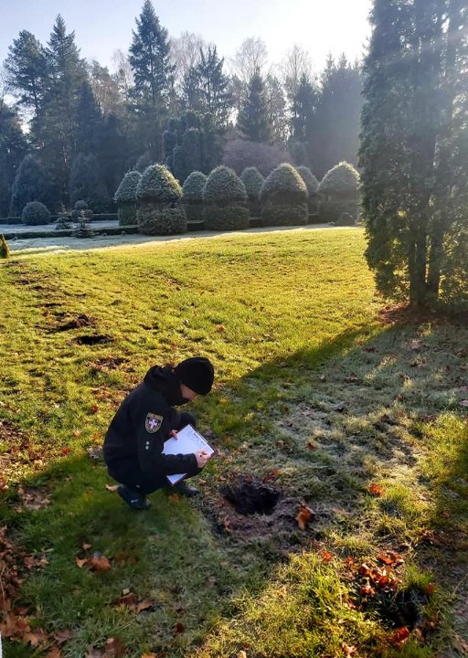 У лісництві на Волині вандали з корінням вирвали і викрали молоді деревця. ФОТО