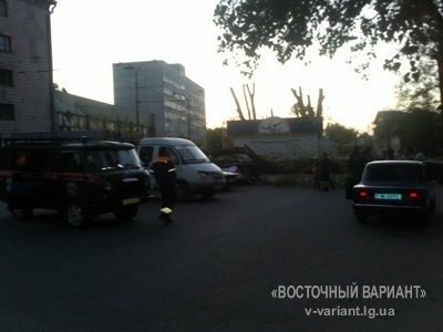 У Луганську дерево розтрощило три іномарки. ФОТО