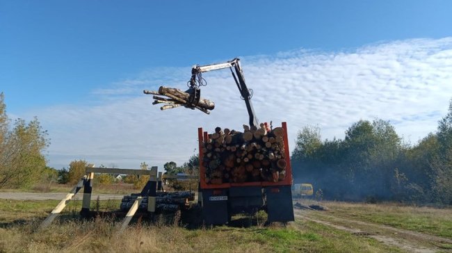 Скільки у лісництвах на Волині коштують дрова. ВІДЕО, ФОТО