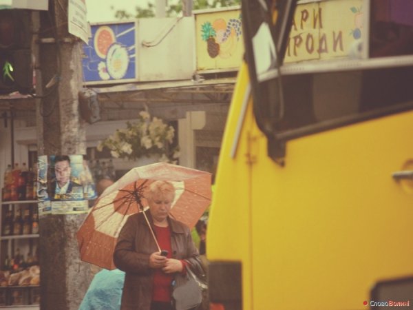Луцькі парасолі. ФОТО