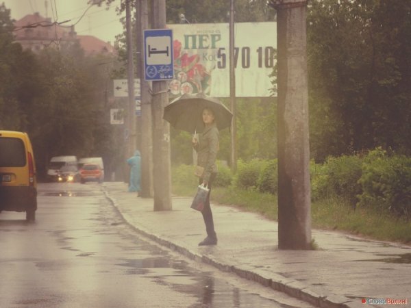 Луцькі парасолі. ФОТО