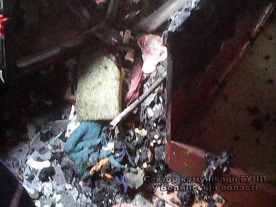 У Маневицькому районі син, аби помститися, підпалив майно батька. ФОТО