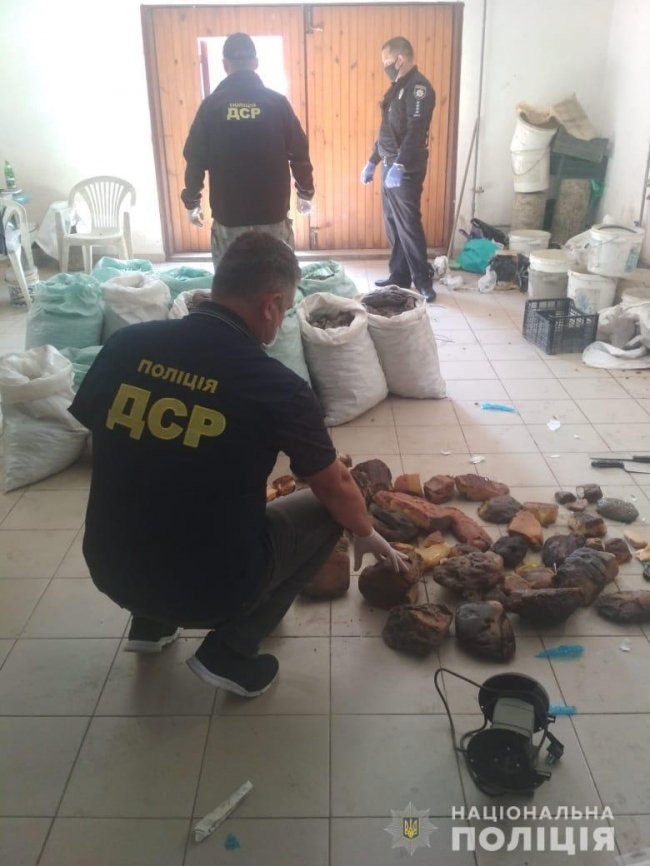 На Рівненщині  вилучили бурштину на понад 30 мільйонів гривень. ФОТО