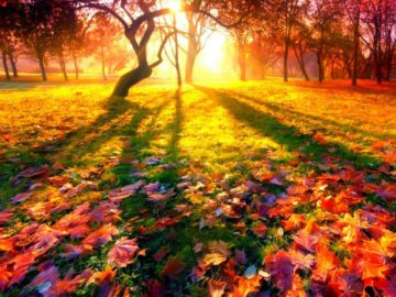 Погода в Луцьку та Волинській області на середу, 9 вересня