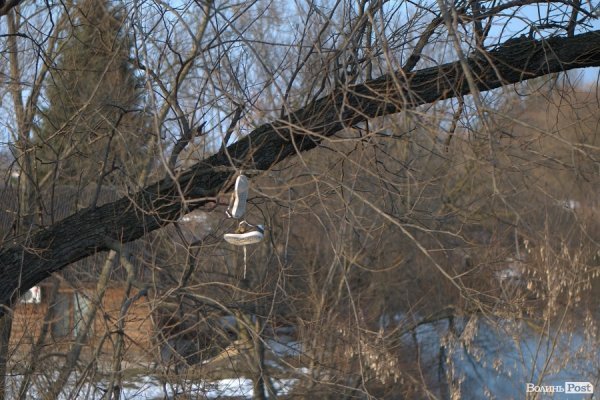 Весна у Луцьку. ФОТО